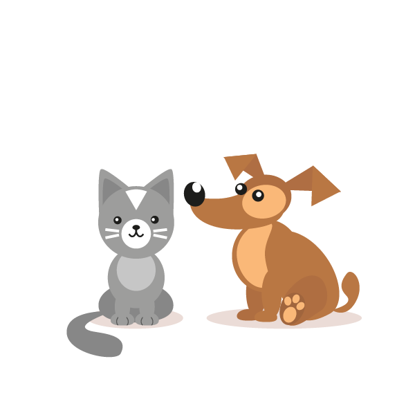 Pet