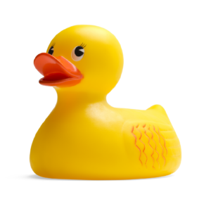 Rubber duck