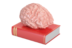 Puzzle/brain teaser books