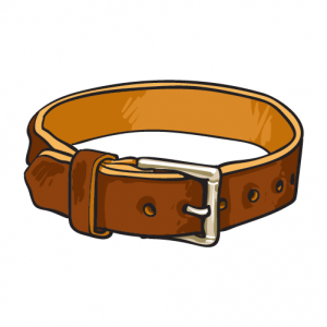 Belt