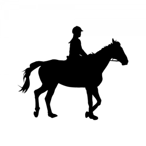Horseback riding/lessons