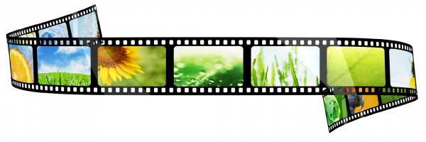 Movies & TV: documentaries