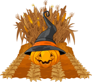 Corn maze