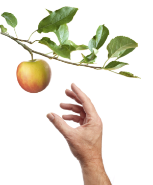 Apple picking
