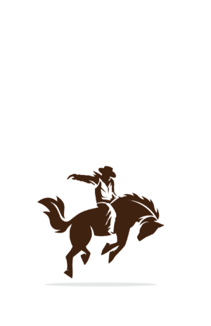 Rodeo/Cowboy