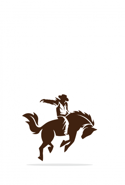 Rodeo/Cowboy