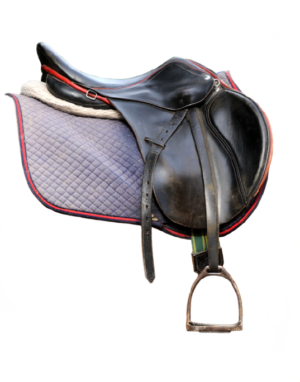 Horse gear