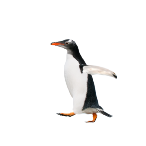 Antarctica