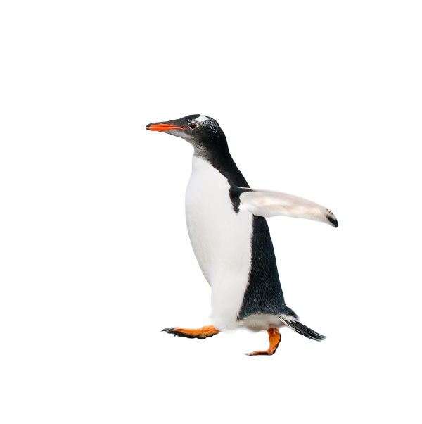 Antarctica